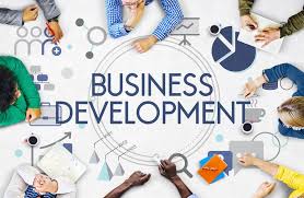 How your accountant supports business development